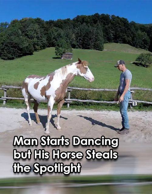 (VIDEO)Man Begins Dancing, but His Horse Takes Center Stage