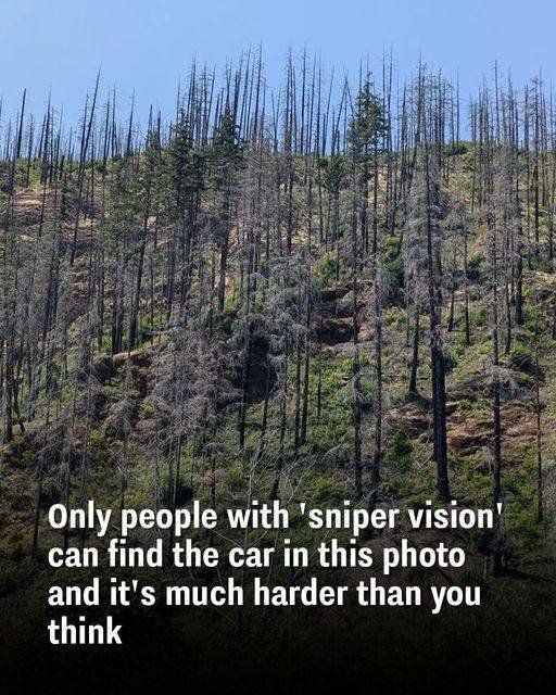 Only people with ‘sniper vision’ can find the car in this photo and it’s much harder than you think