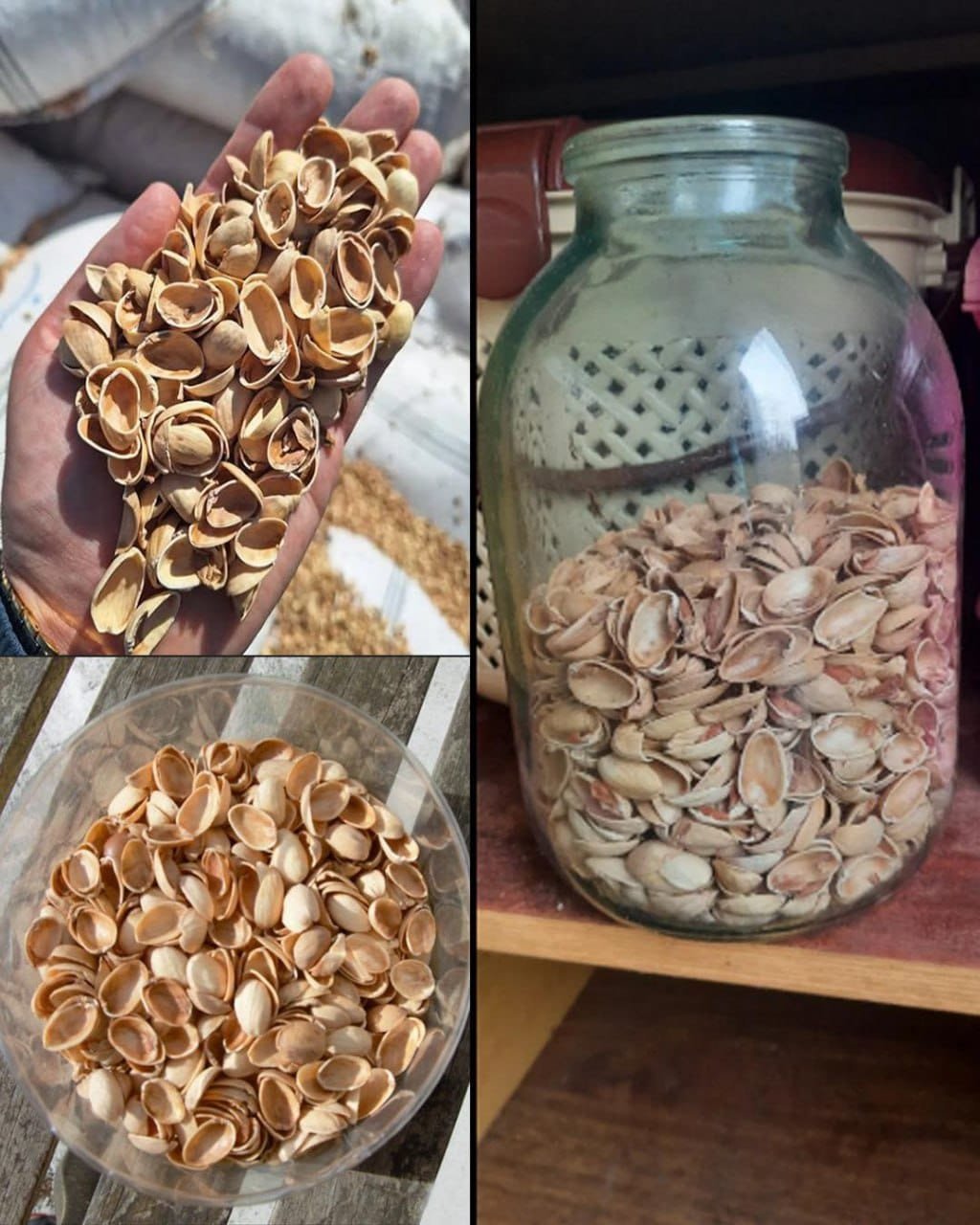 5 Brilliant reasons to never throw away pistachio shells
